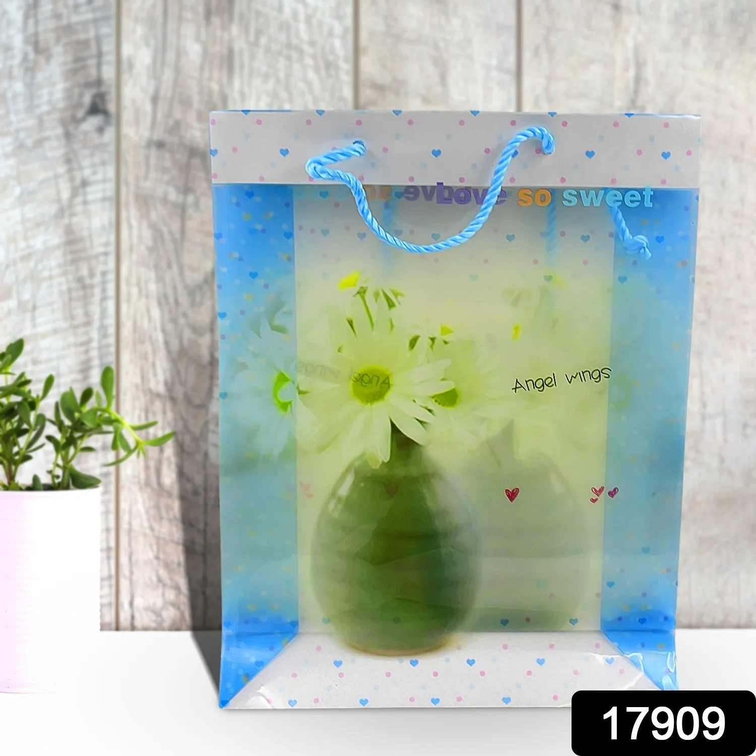 Plastic Transparent Bag With Handle (1 Pc / 34 x 26 Cm)