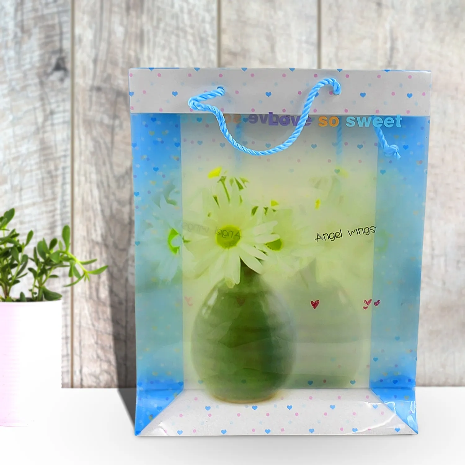 Plastic Transparent Bag With Handle (1 Pc / 34 x 26 Cm)