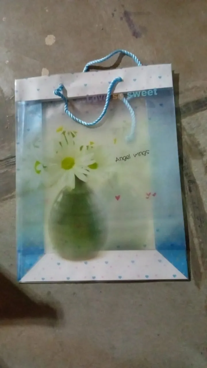 Plastic Transparent Bag With Handle (1 Pc / 34 x 26 Cm)